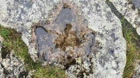 Dinosaur footprint