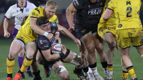 gweilch yn erbyn dreigiau