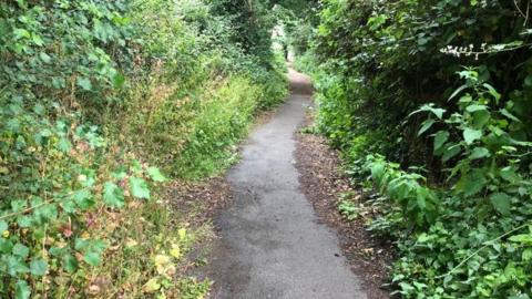 Path in woodland