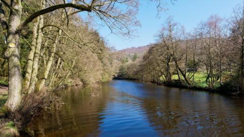 The River Derwent flowing slowly near Froggat in the Peak District. It's a sunny day and trees can be seen on both sides of the river. On the right is also a field. 