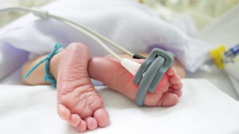 premature baby in incubator