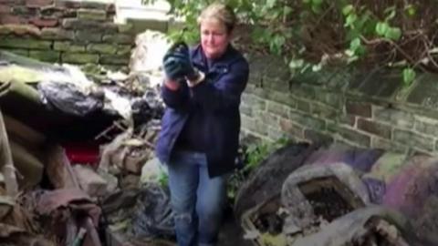 A kitten being rescued from under a rubbish pile