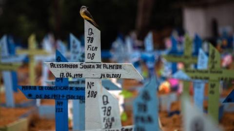 A bird perches on the cross that accompanies the grave of a person who died in January, in the Nossa Senhora Aparecida Cemetery, where victims of covid-19 are buried, in Manaus, Amazonas, Brazil, 01 March 2021 (