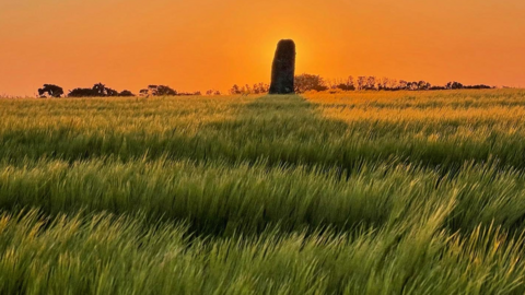 The field in West Cornwall