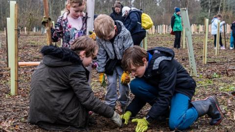 Children planting a tree in the forest.