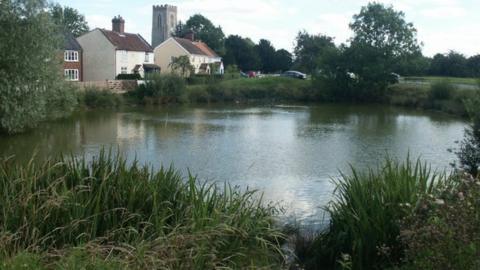 Mulbarton church and pond near the Common