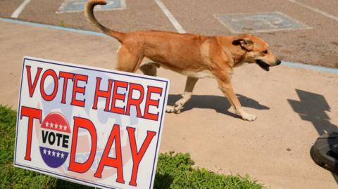 A dog walks past a sign, during the Super Tuesday primary election in Rio Grande City, Texas, U.S., March 5, 2024