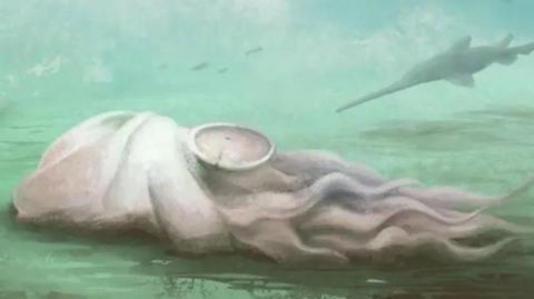 An artist's impression of a prehistoric deep sea creature, which is grey in colour, has numerous tentacles and is lying on the seabed. Prehistoric fish swim nearby