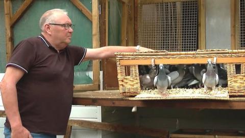 Pigeon owner Alan Todd
