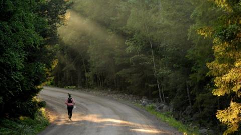 An orienteering competitor. File photo