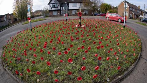 Poppies on roundabout