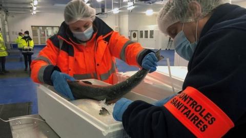 French agents carry out sanitary control checks on salmon exported from Britain in the port of Boulogne-sur-Mer