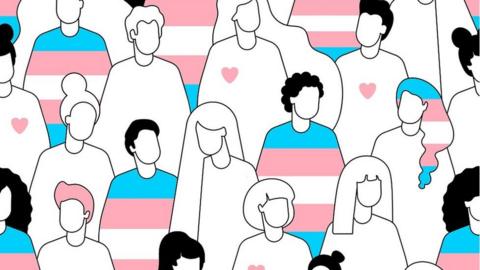 Transgender flag people illustration