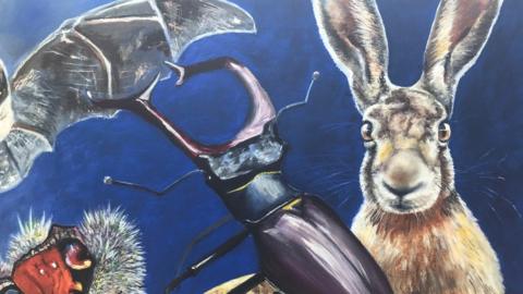 A close up of a bat, beetle and hare