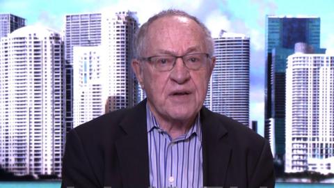 Alan Dershowitz, Lawyer