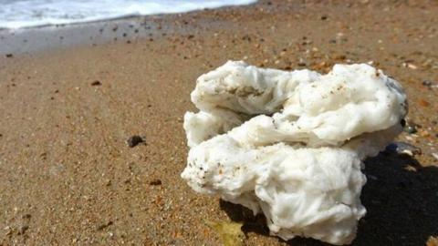 Palm oil deposit on beach