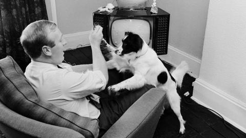 Pickles The Hero Dog At Home With His Owner David Corbett Watching The World Cup Final On Television July 1966
