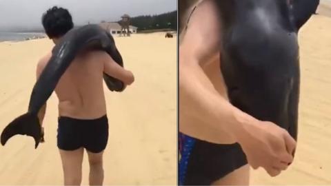 Screenshot of a dolphin on a man's shoulders taken from a Miaopai video, posted by Btime