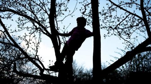 Child in a tree
