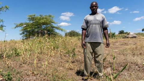 Zambian farmer in dry field