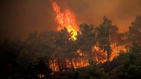 The fires in Rhodes