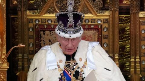 the king wearing a white fur cape and a fancy purple, white and diamond encrusted crown, sitting on a golden throne