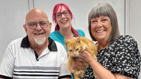 Robert Poile, in a black and white top, and Debbie Poile, wearing a black and white dress, are at the vets holding their ginger cat Primrose, with veterinary nurse Chris Guscott behind them.