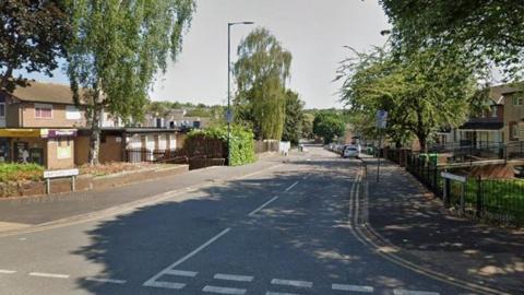 View of Abbotsford Drive from the top of the road