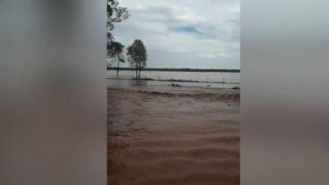 Flash flood near Nyngan