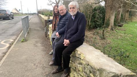 Residents on the Sycamore Grove boundary wall they built