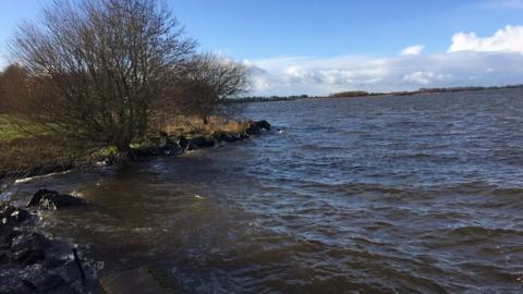 A network of land around the lough shore is being managed for nature