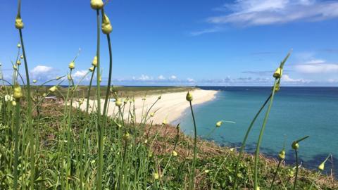 Shell Beach, Herm