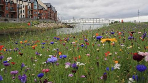 A field of coloured meadow flowers sits in front a river with buildings on the other side and a bridge in the distance. The sky is grey and overcast.