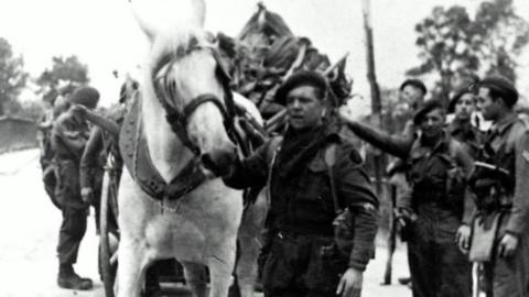 George the horse helping the Commandos on D-Day.