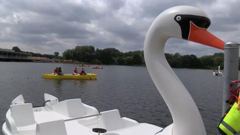 Lake with yellow canoes and white pedalos shaped as swans