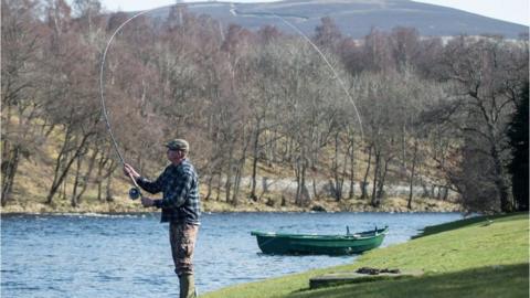 Fly fishing on the Tulchan estate on the River Spey in Scotland near Grantown-on-Spey