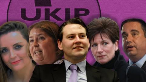 UKIP's Elizabeth Jones, Lisa Duffy, Philip Broughton, Diane James and Bill Etheridge