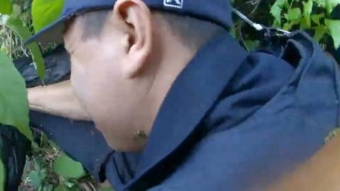 Police officer with a bee sitting on his neck