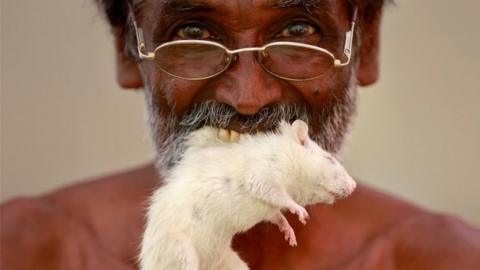 A farmer from the southern state of Tamil Nadu poses as he bites a rat during a protest demanding a drought-relief package from the federal government, in New Delhi, India, March 27, 2017
