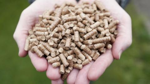 Wood pellets