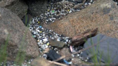 Nurdles on beach