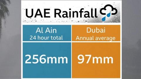 A chart showing rainfall amounts in UAE
