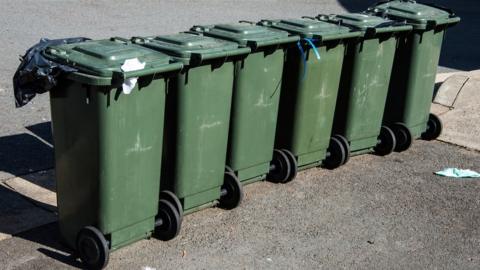 Green wheelie bins lined up on a street