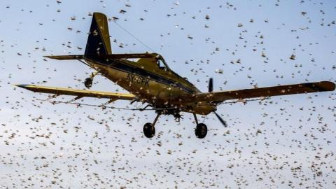 Plane spraying crops in Kenya