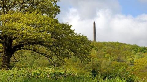 Wellington Monument