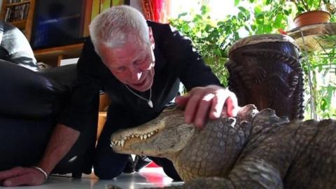 Philippe Gillet with one of his alligators (17 September 2018).