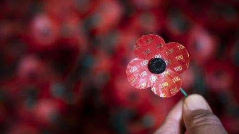 Close up of a poppy with 100 written on it