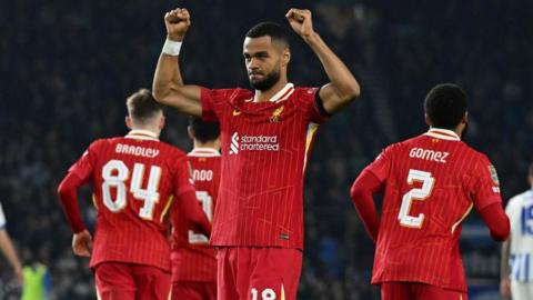 Cody Gakpo celebrates scoring against Brighton for Liverpool