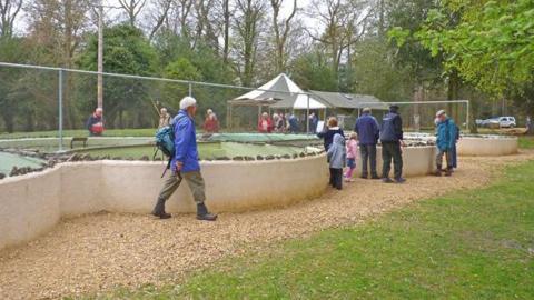 The New Forest Reptile Centre with people looking over the low walls into the pods containing amphibians and reptiles