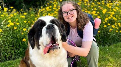 A girl with long brown curly hair and wearing glasses, crouches down next to a St Bernard dog in front of some yellow flowers.